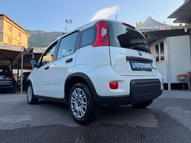 FIAT Panda Panda 1.0 firefly hybrid s&s 70cv