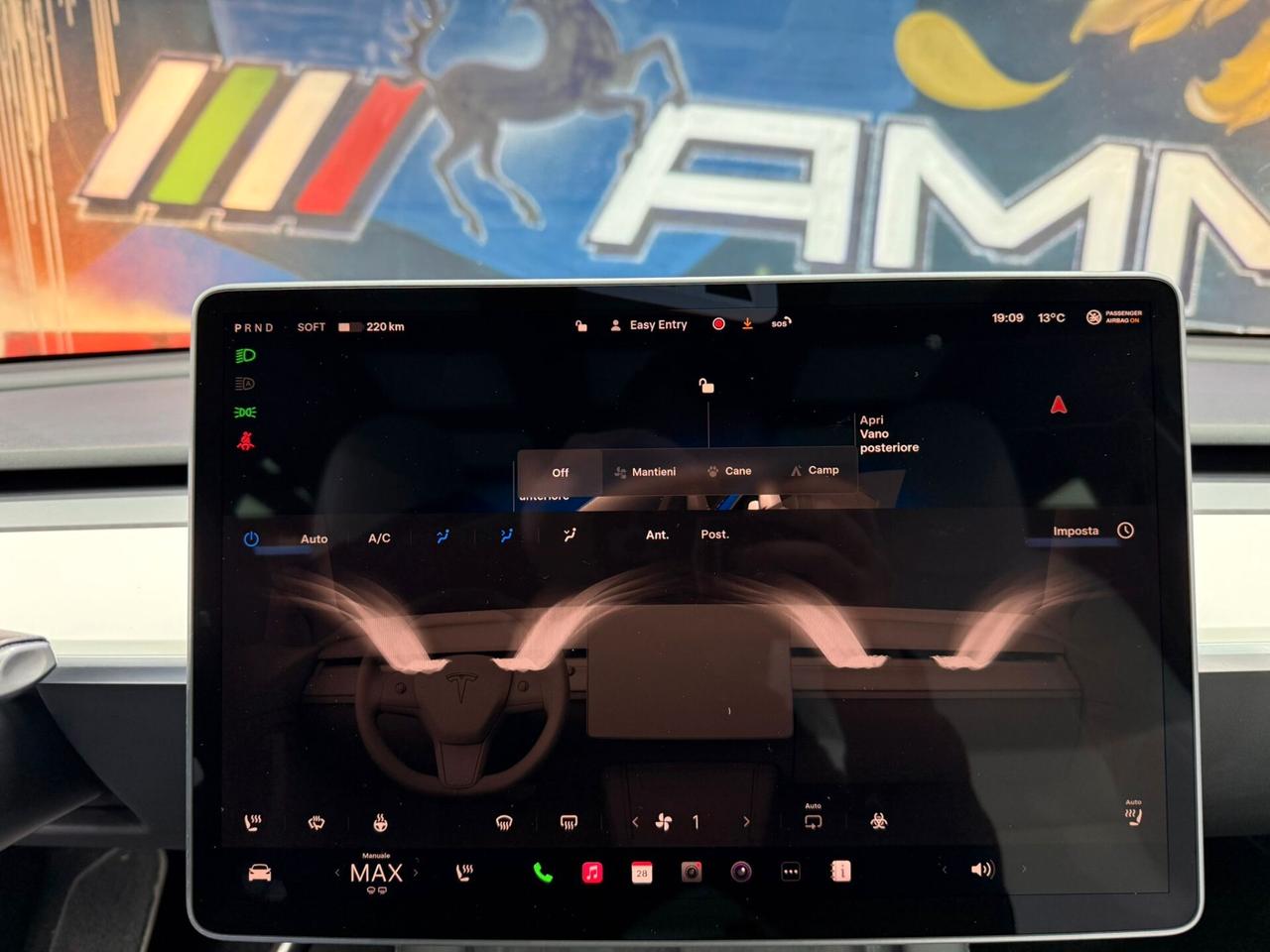 Tesla Model Y AWD Performance (265)