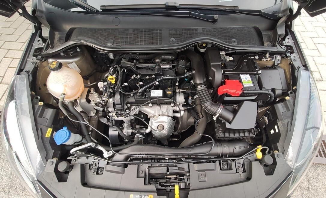 Ford Fiesta 1.1 75 CV 5 porte Titanium