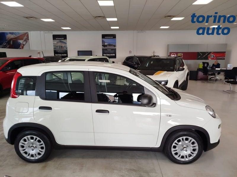 FIAT Panda Panda 1.0 FireFly S&S Hybrid