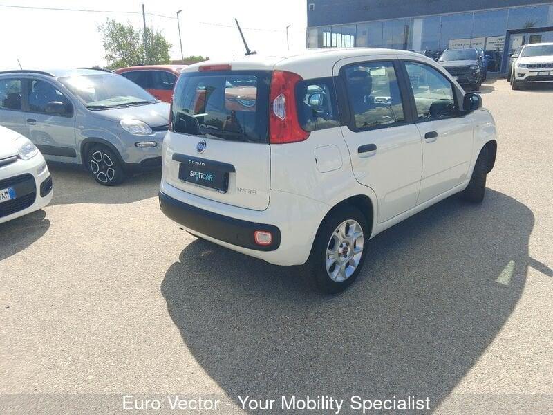 FIAT Panda Panda 1.0 FireFly S&S Hybrid Launch Edition