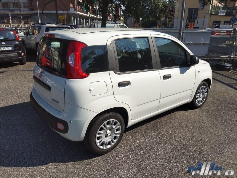 FIAT Panda MY25 1.0 70cv Hybrid