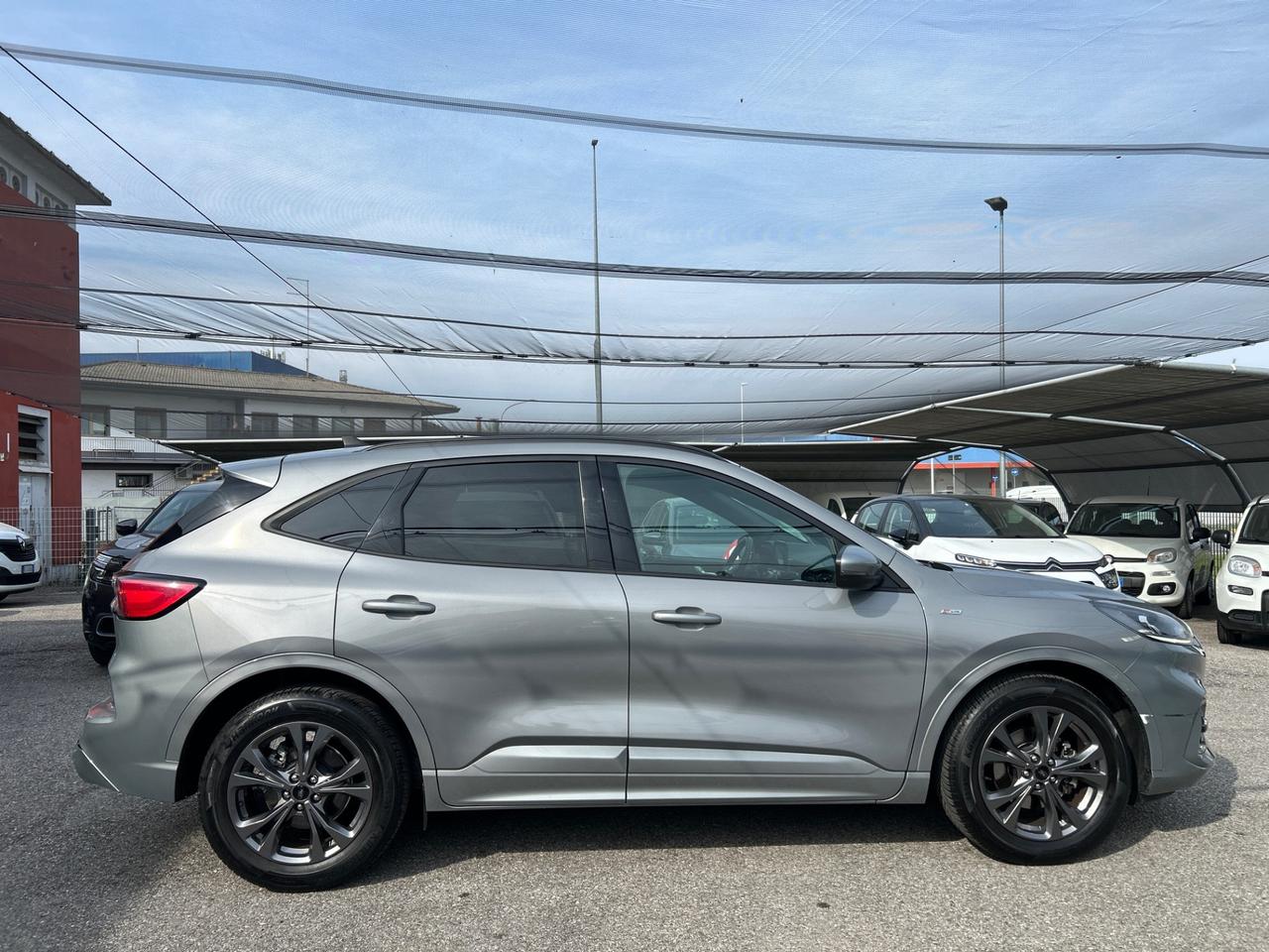 Ford Kuga 1.5 ecoblue ST-Line 2wd 120cv auto