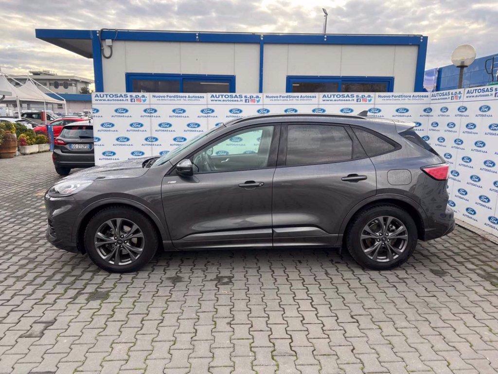 FORD Kuga 2.0 EcoBlue 120 CV aut. 2WD ST-Line X del 2023