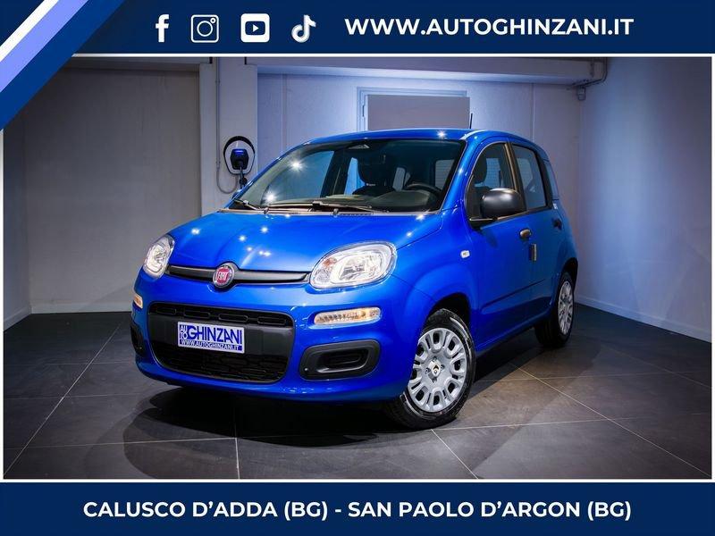 FIAT Panda Panda 1.0 FireFly S&S Hybrid Icon - "PREZZO VERO"