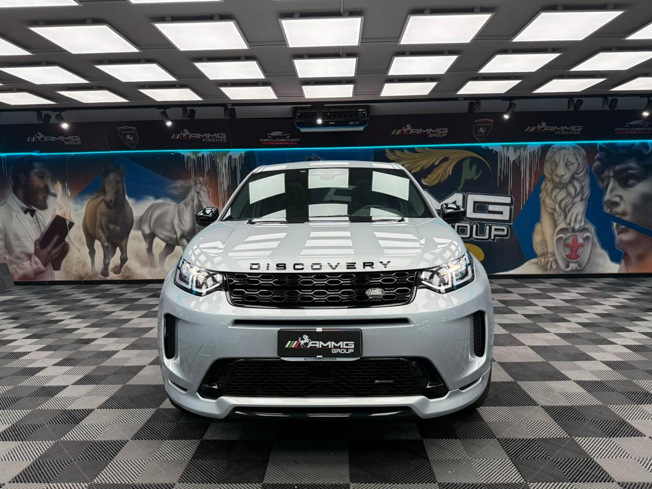 Land Rover Discovery Sport 2.0 TD4 163 CV AWD Auto R-Dynamic HSE (795)