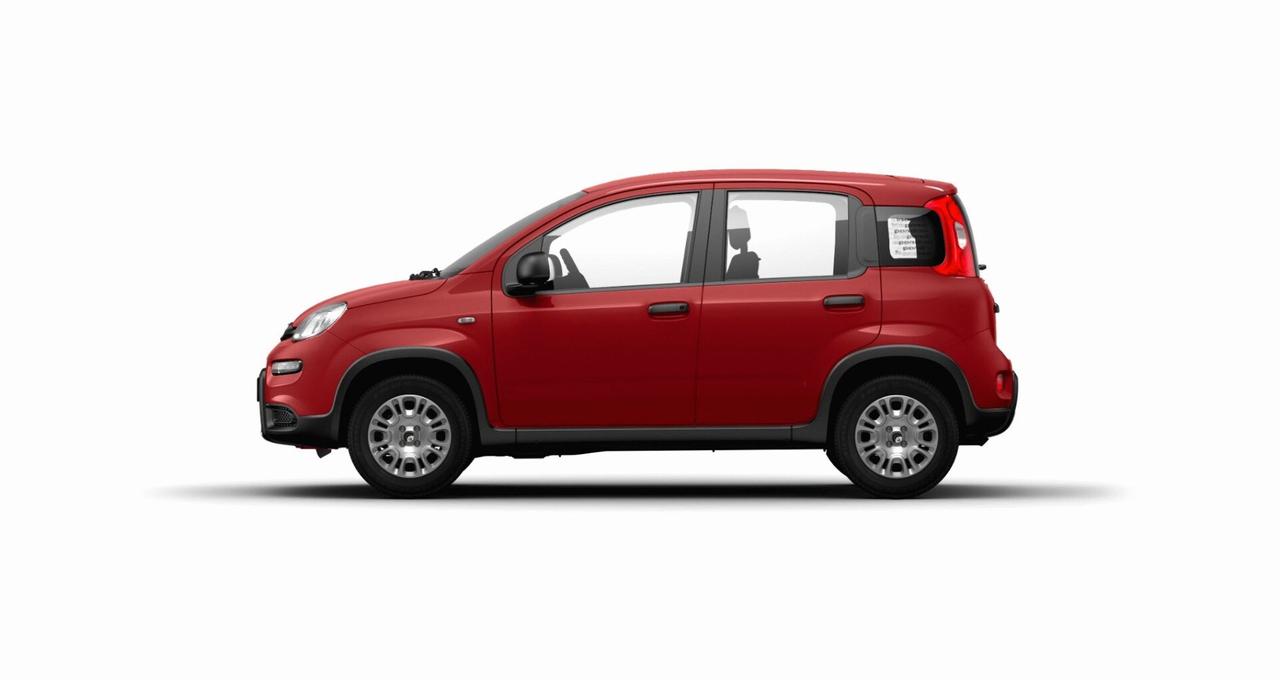 FIAT Pandina Pandina 1.0 FireFly 65 CV Hybrid Pop