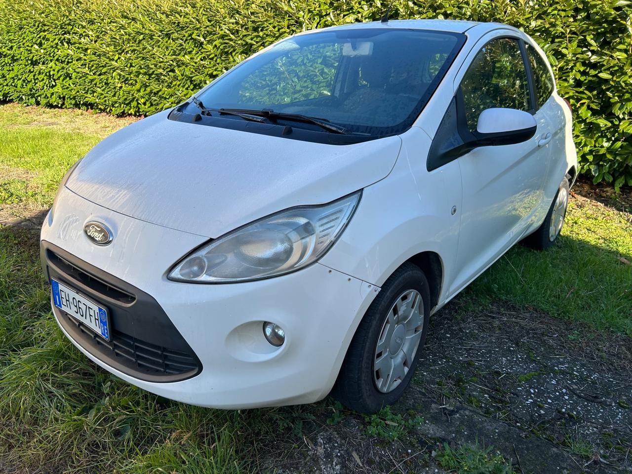 Ford Ka Ka+ 1.3 TDCi 75CV cDPF 2011!! Motore da fare