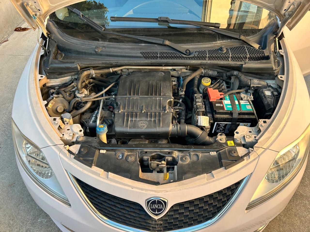 Lancia Ypsilon 1.2 Benz/GPL - 2016