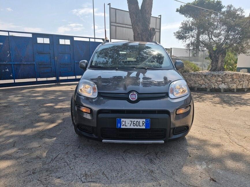 Fiat Panda 1.0 FireFly S&S Hybrid Red