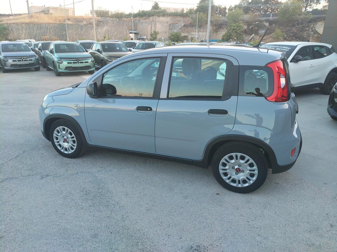 Fiat Panda 1.0 FireFly S&S Hybrid 5° posti