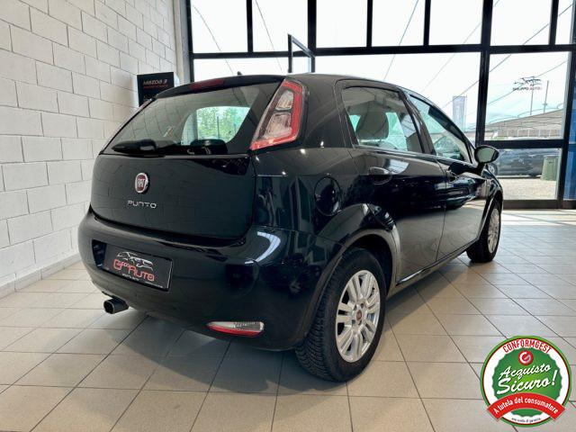 FIAT Punto 1.2 8V 5p. Street *NEOPATENTATI*DISTRIBUZIONE OK*