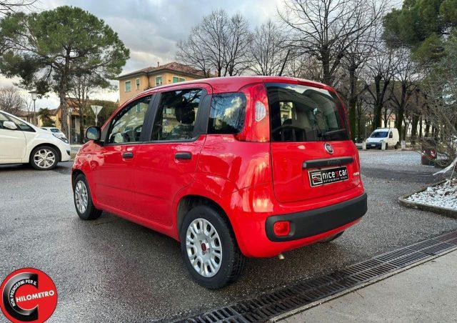 FIAT Panda 1.0 FireFly S&S Hybrid Easy