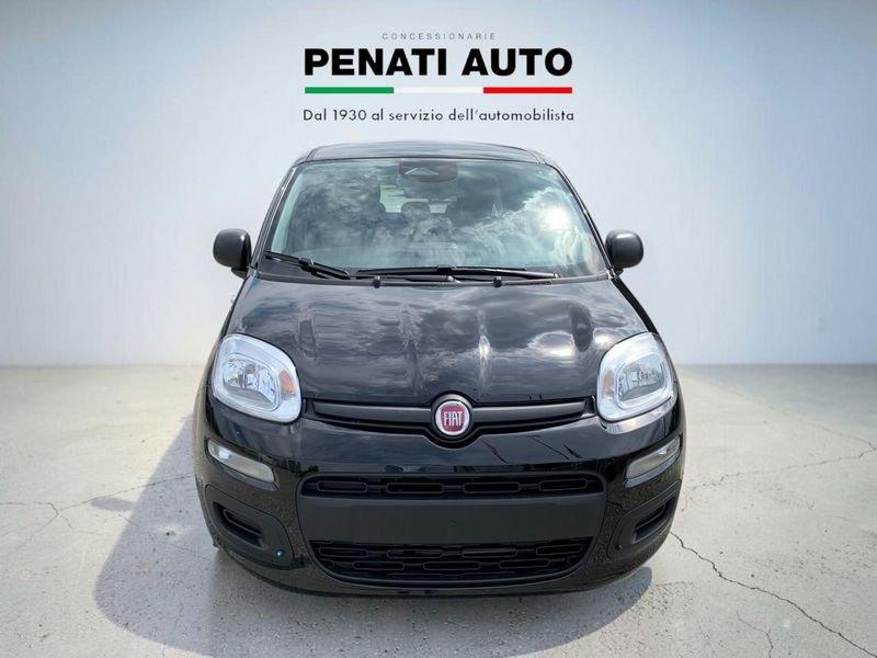 FIAT Pandina 1.0 FireFly 65cv S&S 6m Hybrid Icon