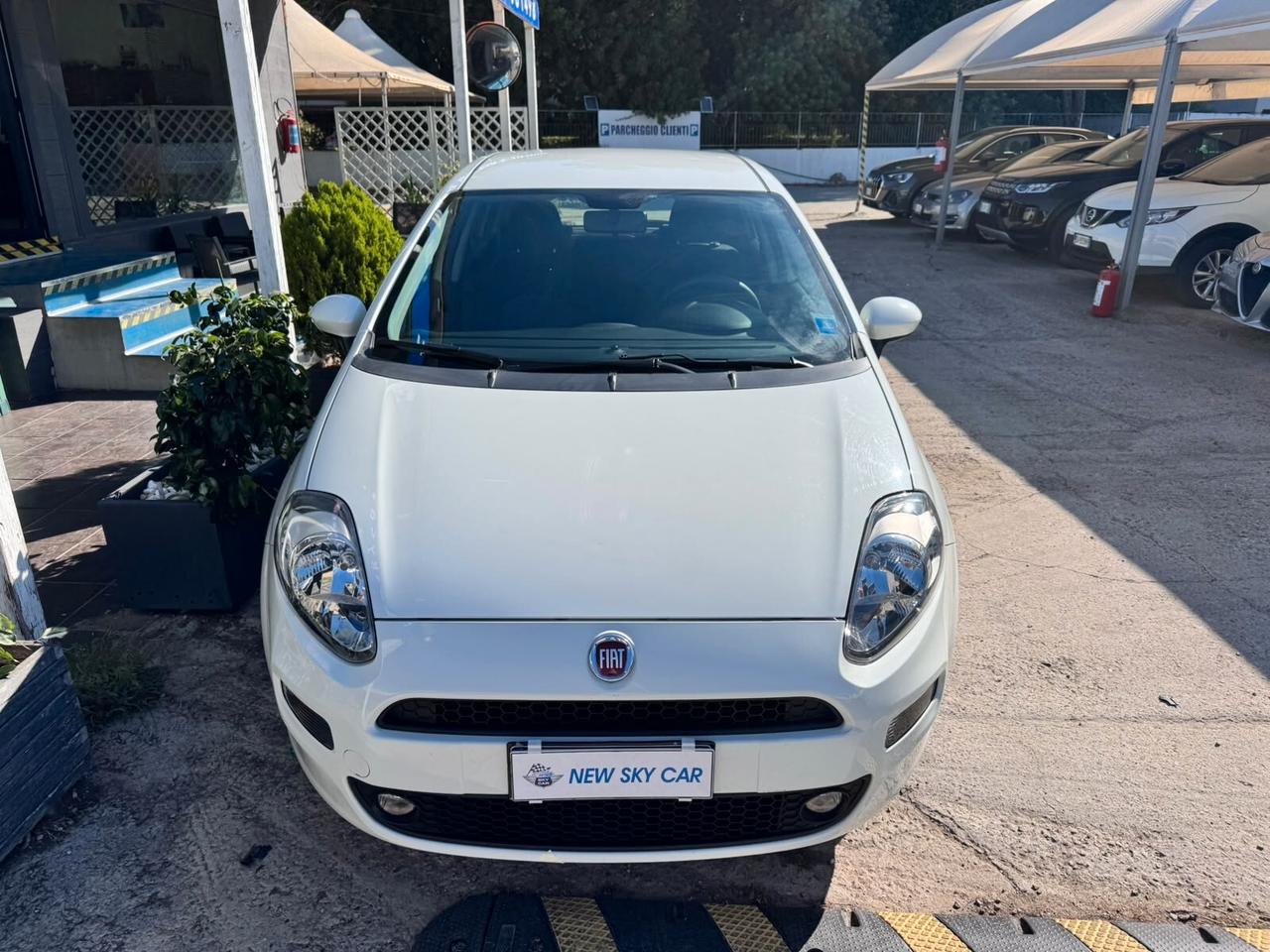 Fiat Punto 1.4 8V 5p. Easypower GPL BOMBOLONE REVISIONATO