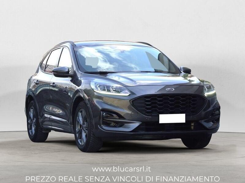 Ford Kuga 2.0 EcoBlue 120CV 2WD ST-Line Auto