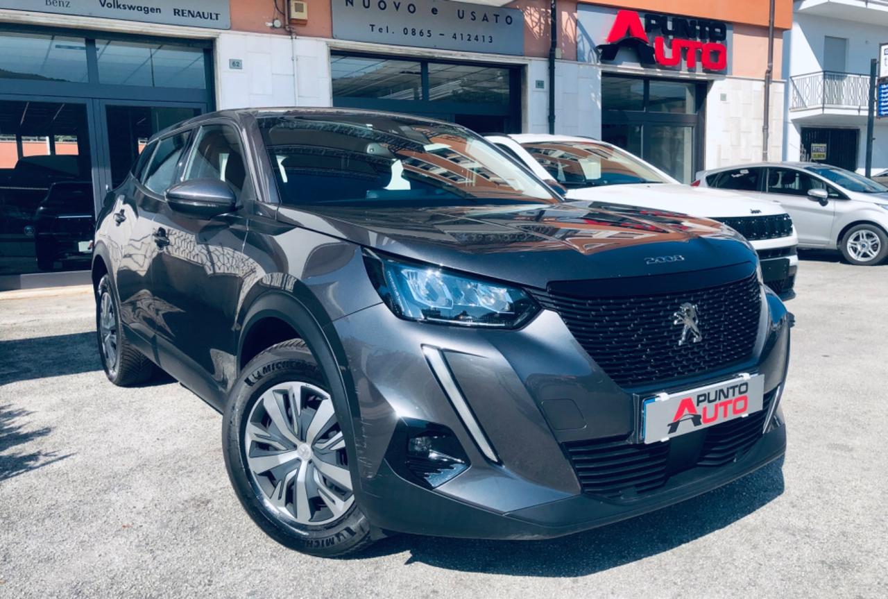 Peugeot 2008 PureTech 100 S&S Active