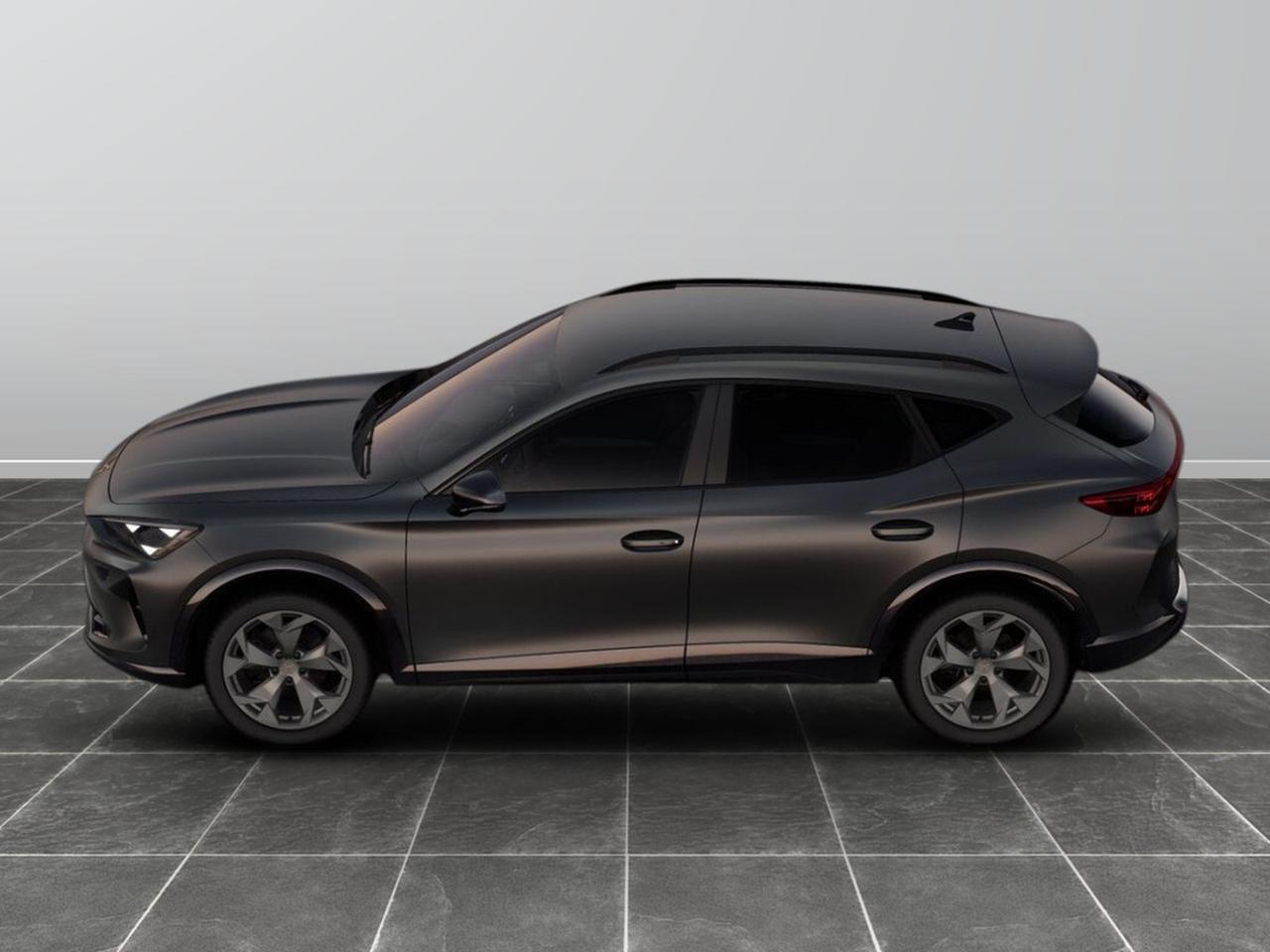 Cupra Formentor 2.0 tdi 150cv dsg