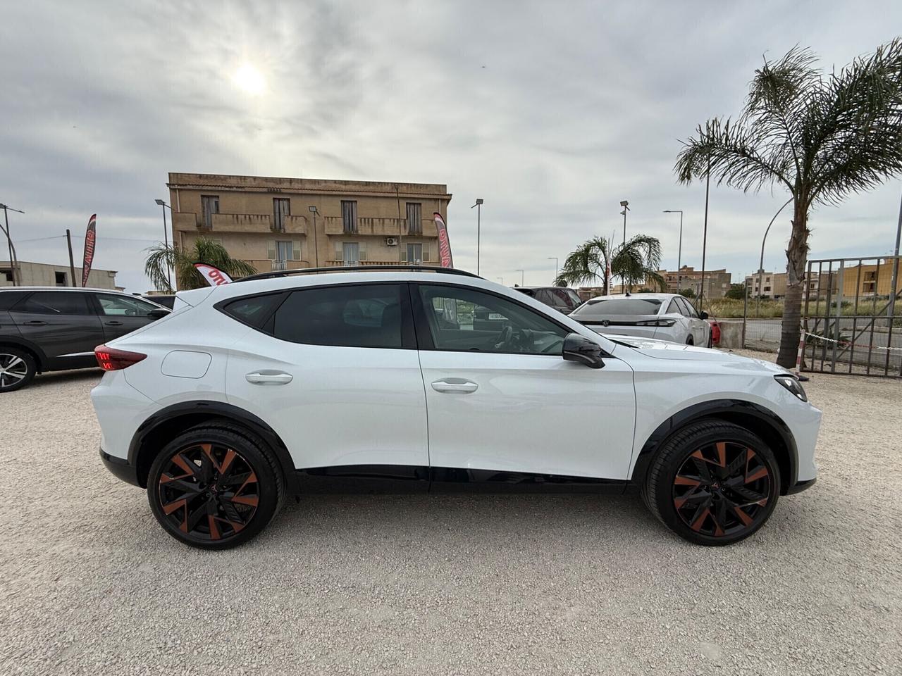 Cupra Formentor 2.0 TDI DSG