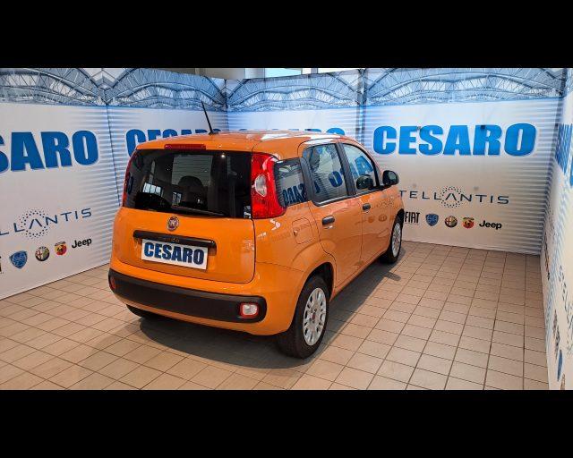 FIAT New Panda 1.2 69cv Easy s&s