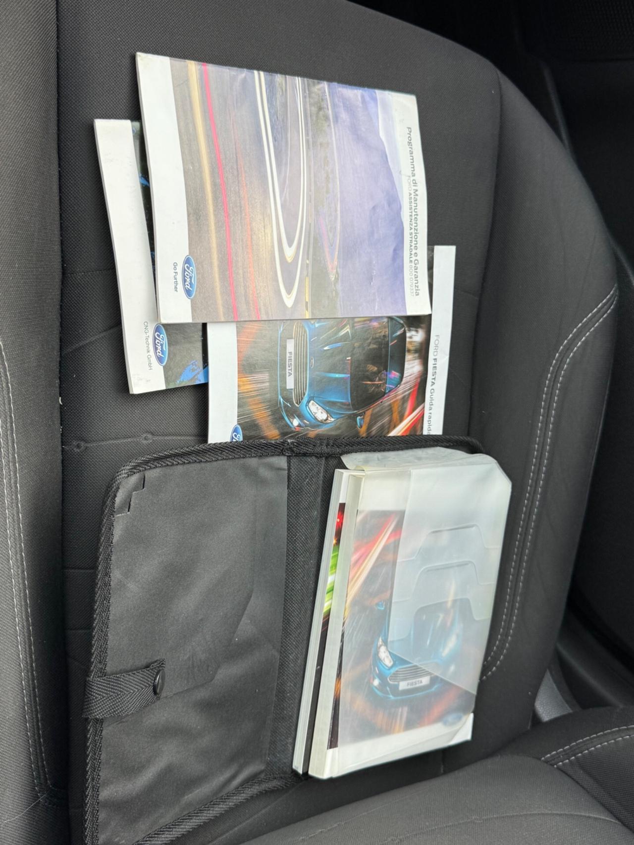 Ford Fiesta 1.4 5 porte Bz.- GPL Black & White Edition