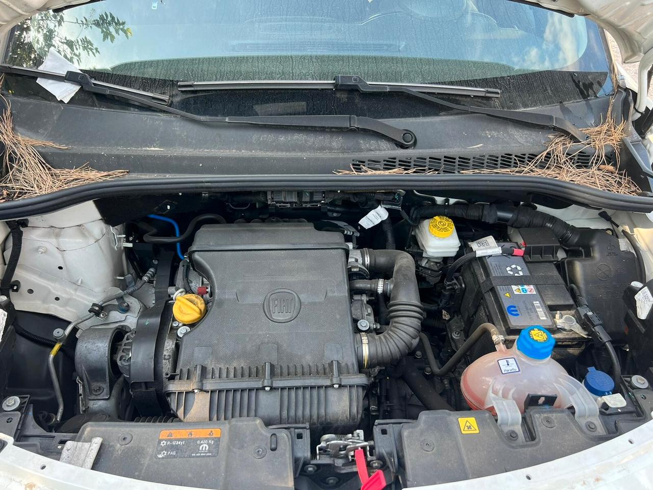 Fiat 500L 1.4 95 CV S&S City Cross