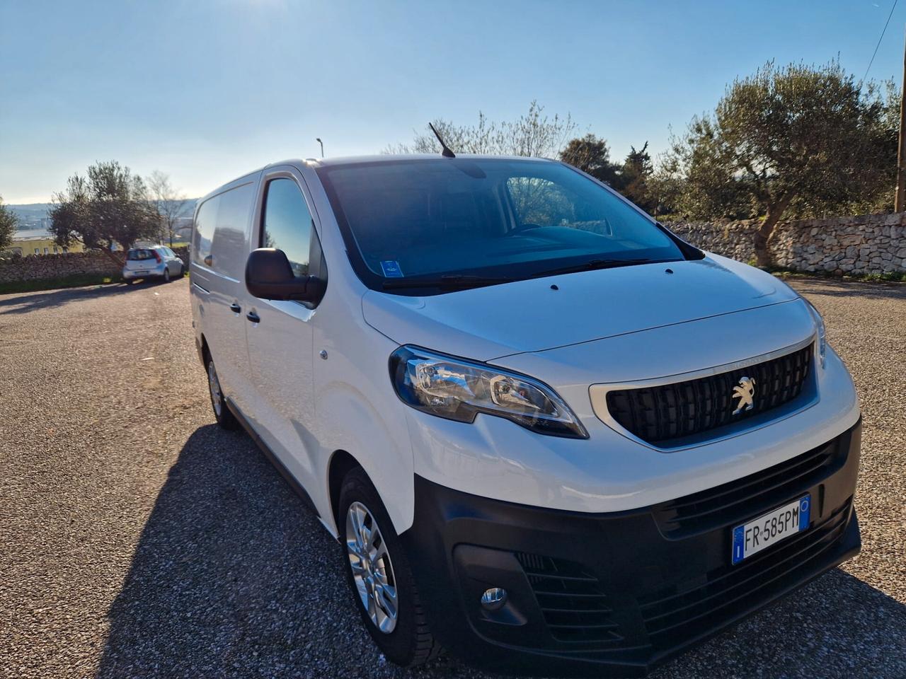 Peugeot Expert BlueHDi 150 S&S PL-TN Furgone Premium Standard