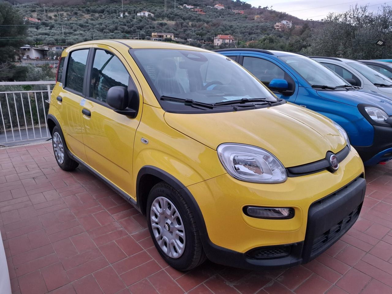 Fiat Panda 1.0 FireFly S&S Hybrid Pandina