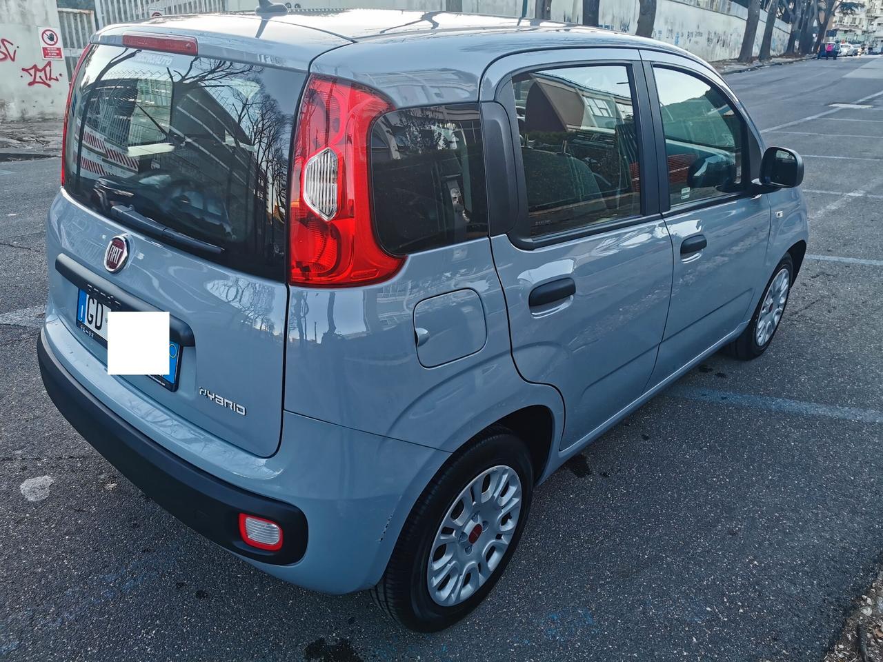 Fiat Panda Hybrid GARANZIA - 6 marce blockshaft