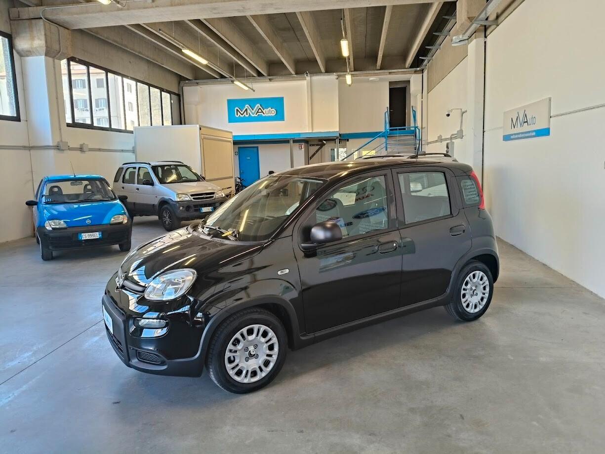 Fiat Panda 1.0 FireFly S&S Hybrid Pandina