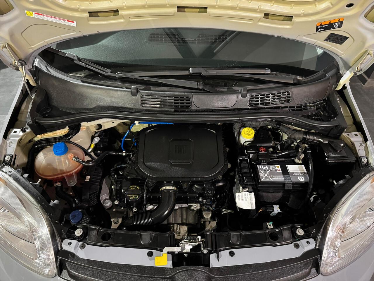 Fiat Panda 1.0 FireFly S&S Hybrid 70cv KM 20'277