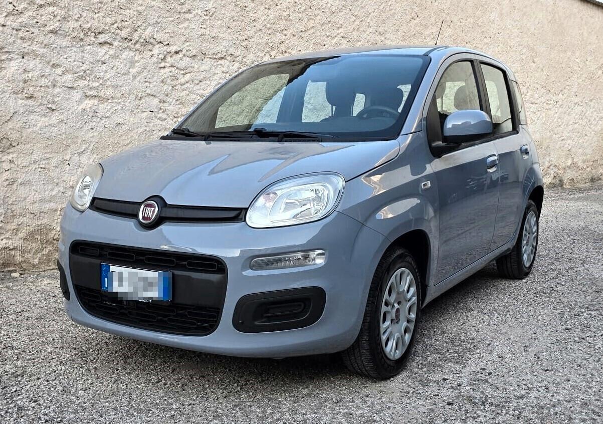 Fiat PANDA Easy 1.2 70CV