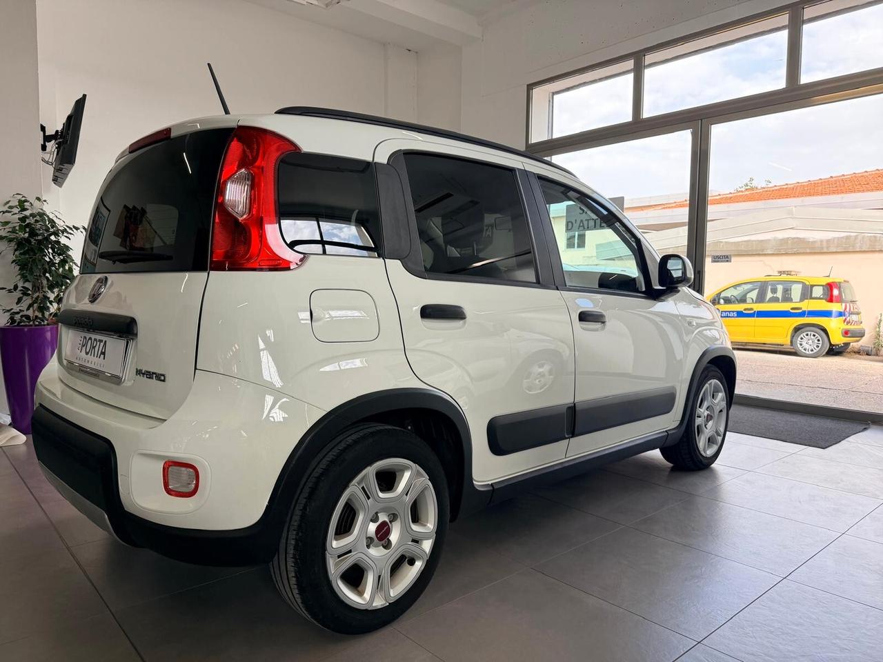 FIAT PANDA 1.0 FireFly 70cv S&S Hybrid City Life