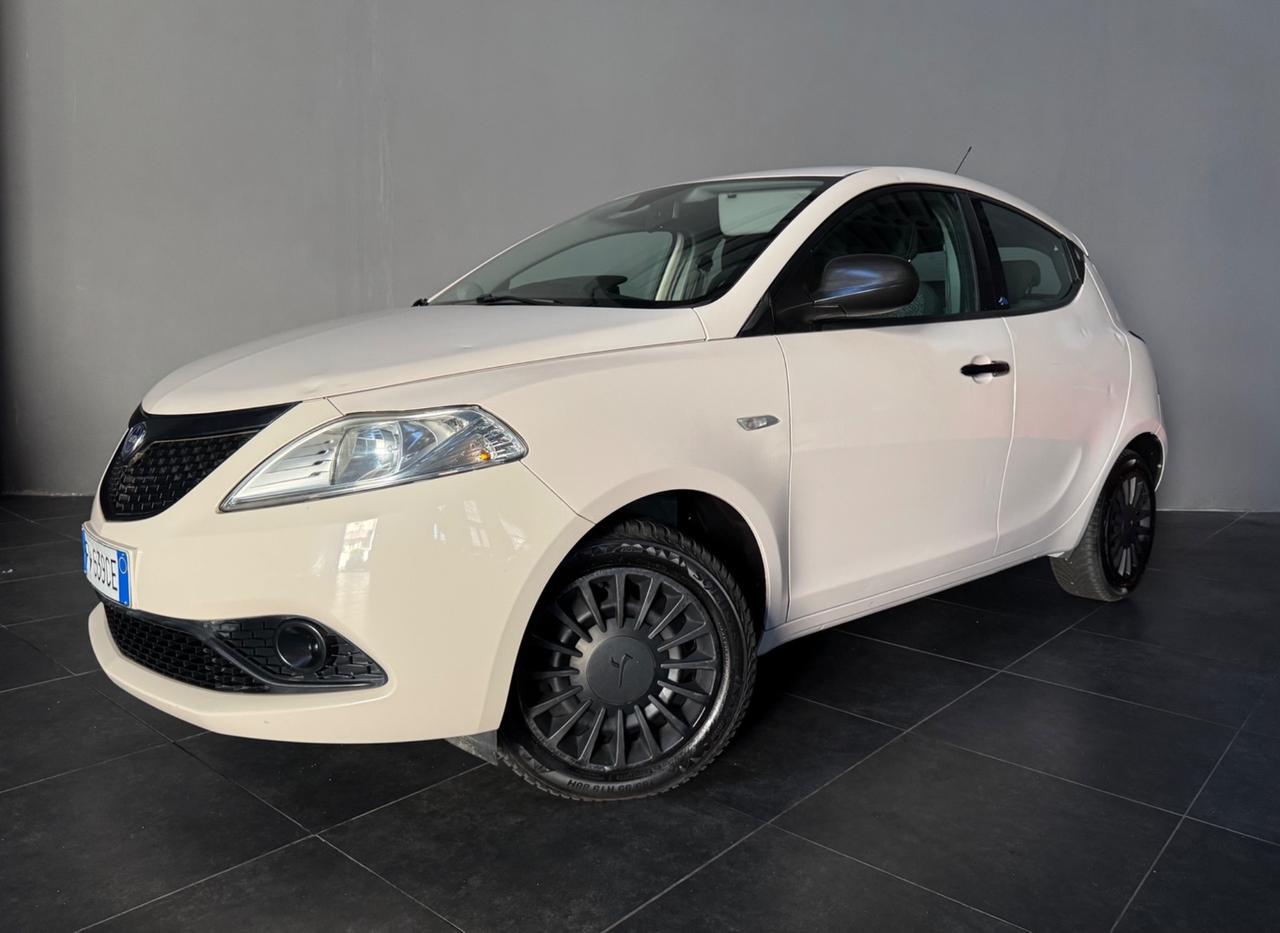 Lancia Ypsilon 1.2 69 CV 5 porte Platinum
