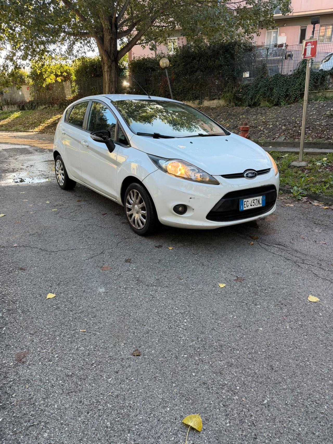 Ford Fiesta 1.2 82 CV 5 porte Titanium
