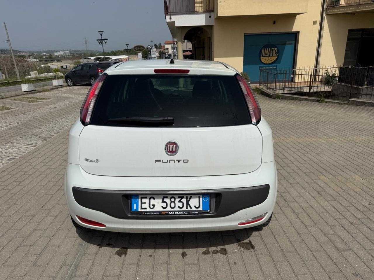 Fiat Punto Evo 1.3 Mjt 75 CV van con i posti