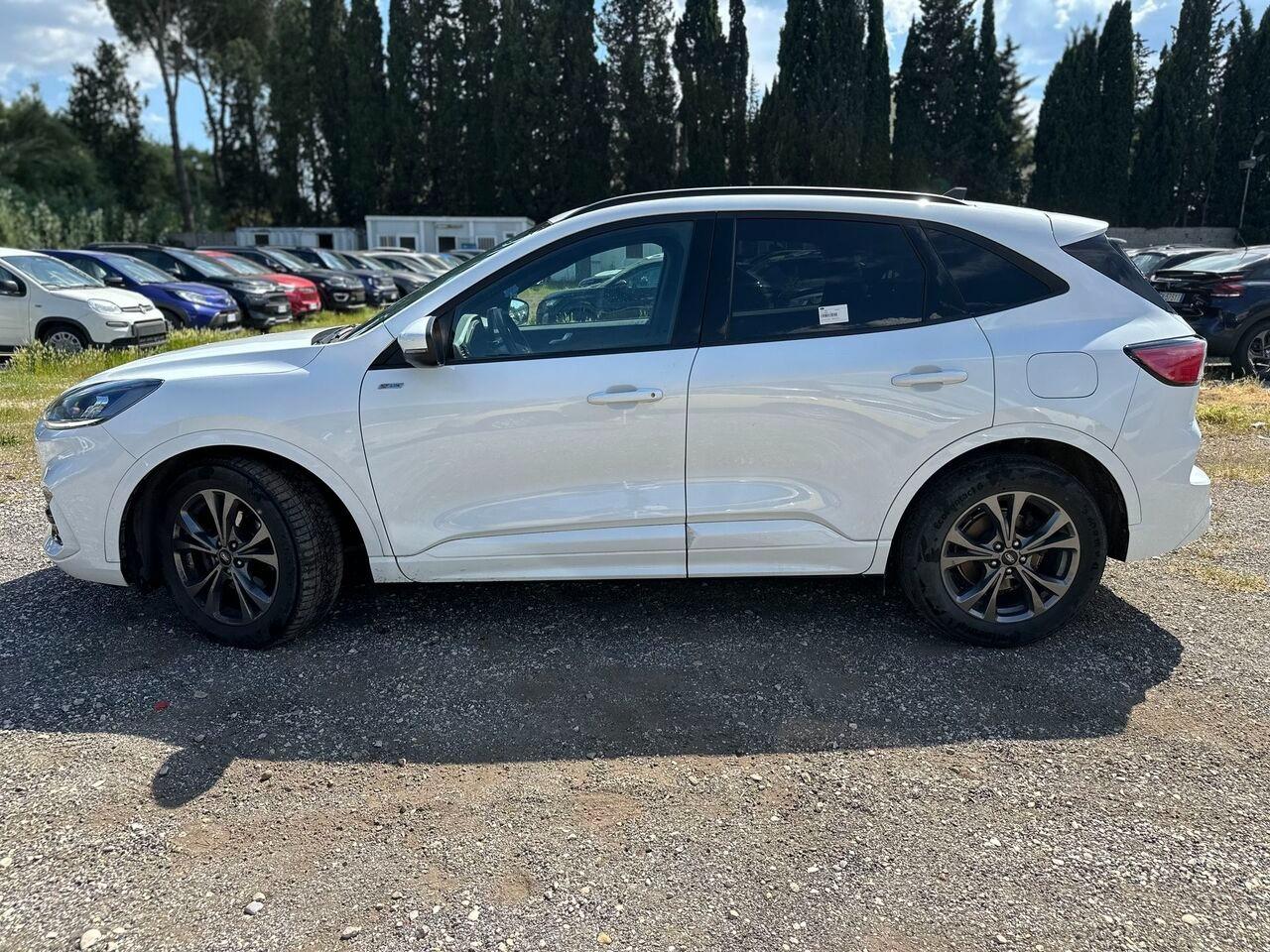 FORD Kuga III 2020 - Kuga 2.0 ecoblue ST-Line 2wd 120cv auto