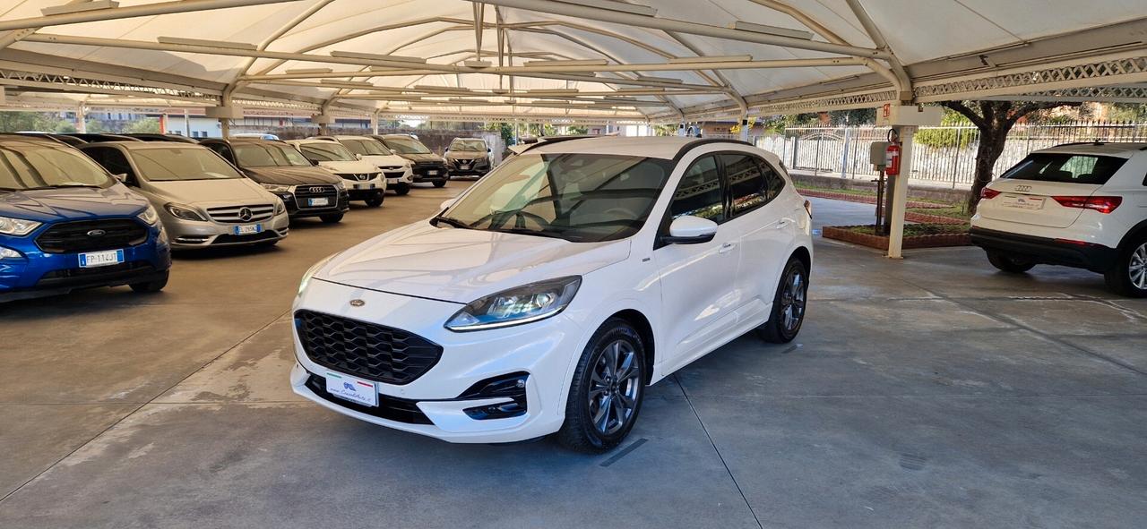 Ford Kuga 1.5 EcoBlue 120cv ST-Line X
