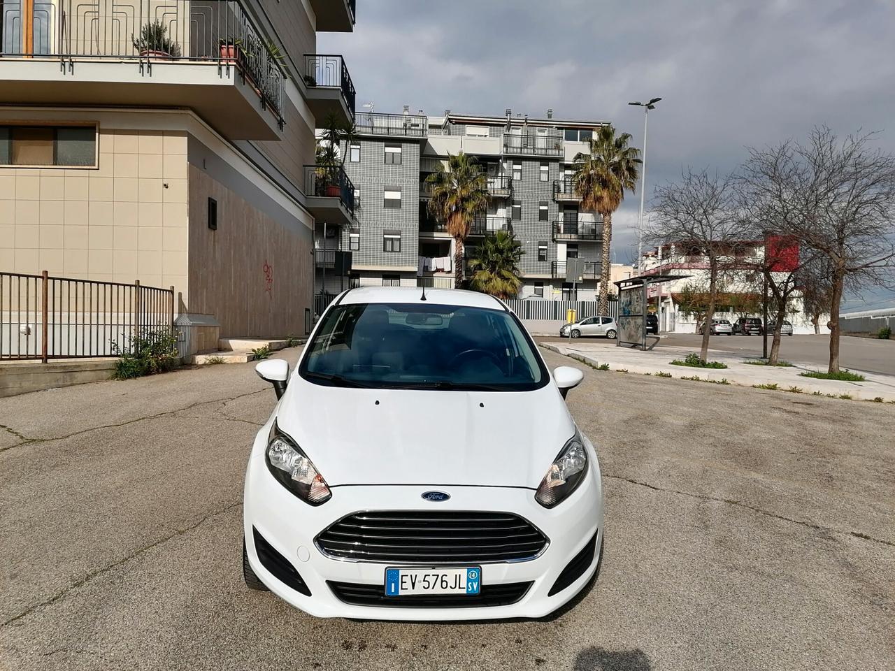 Ford Fiesta 1.5 TDCi 75CV 5 porte Titanium 2014