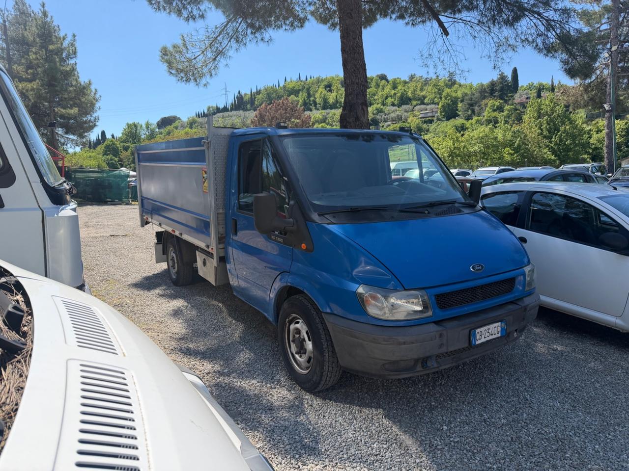 Ford Transit casonato