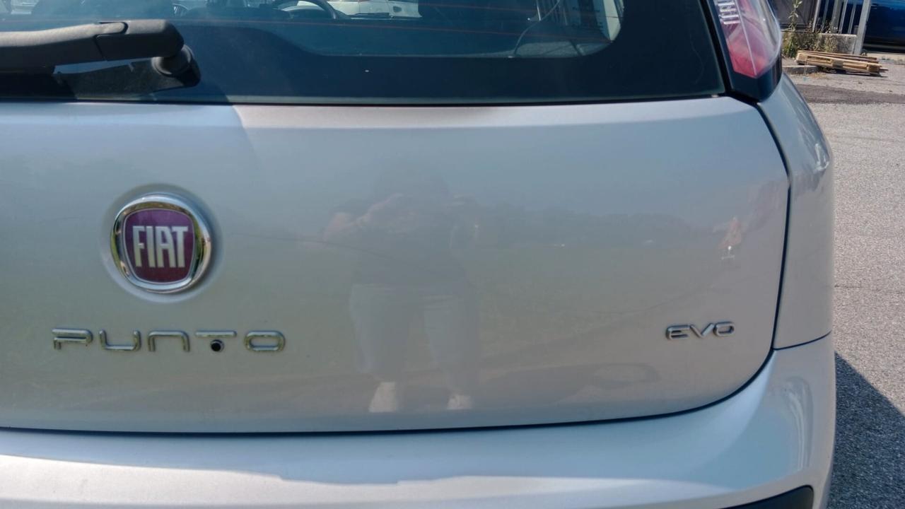 Fiat Punto Evo 1.4 5 porte Dynamic