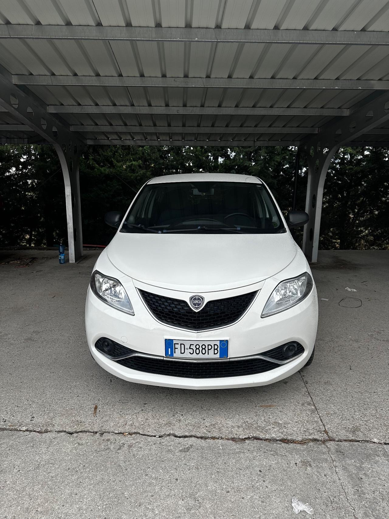 Lancia Ypsilon 1.3 MJT 16V 95 CV 5 porte S&S Gold