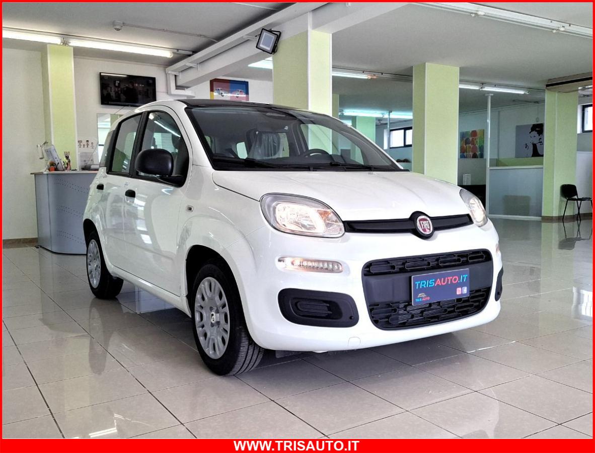 FIAT Panda 1.0 FireFly S&S Hybrid 5p.ti NEOPATENTATI