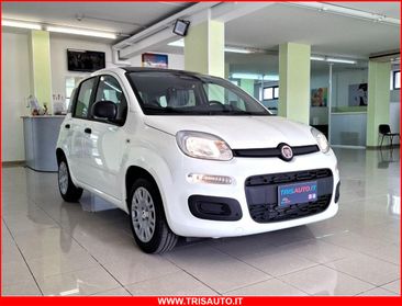 FIAT Panda 1.0 FireFly S&S Hybrid 5p.ti NEOPATENTATI