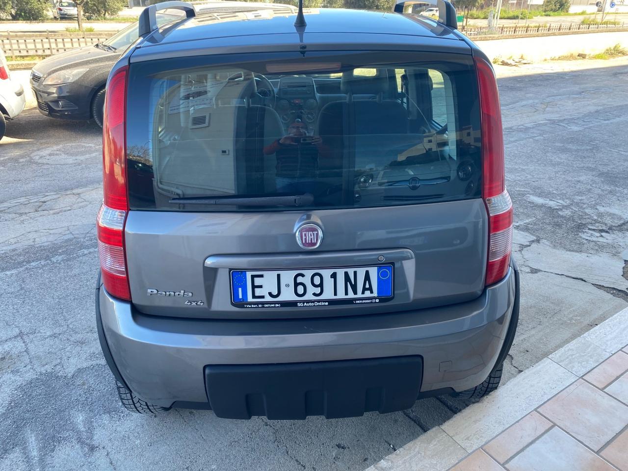 Fiat Panda 1.3 MJT 16V DPF 4x4 Climbing