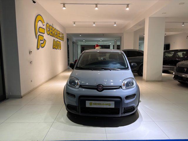 FIAT Panda 1.0 FireFly S&S Hybrid City Lifetua da ?139,00 men