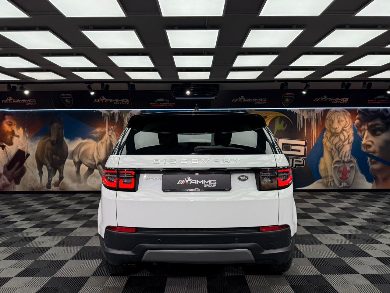 Land Rover Discovery Sport 2.0 TD4 163 CV AWD Auto R-Dynamic HSE (528)