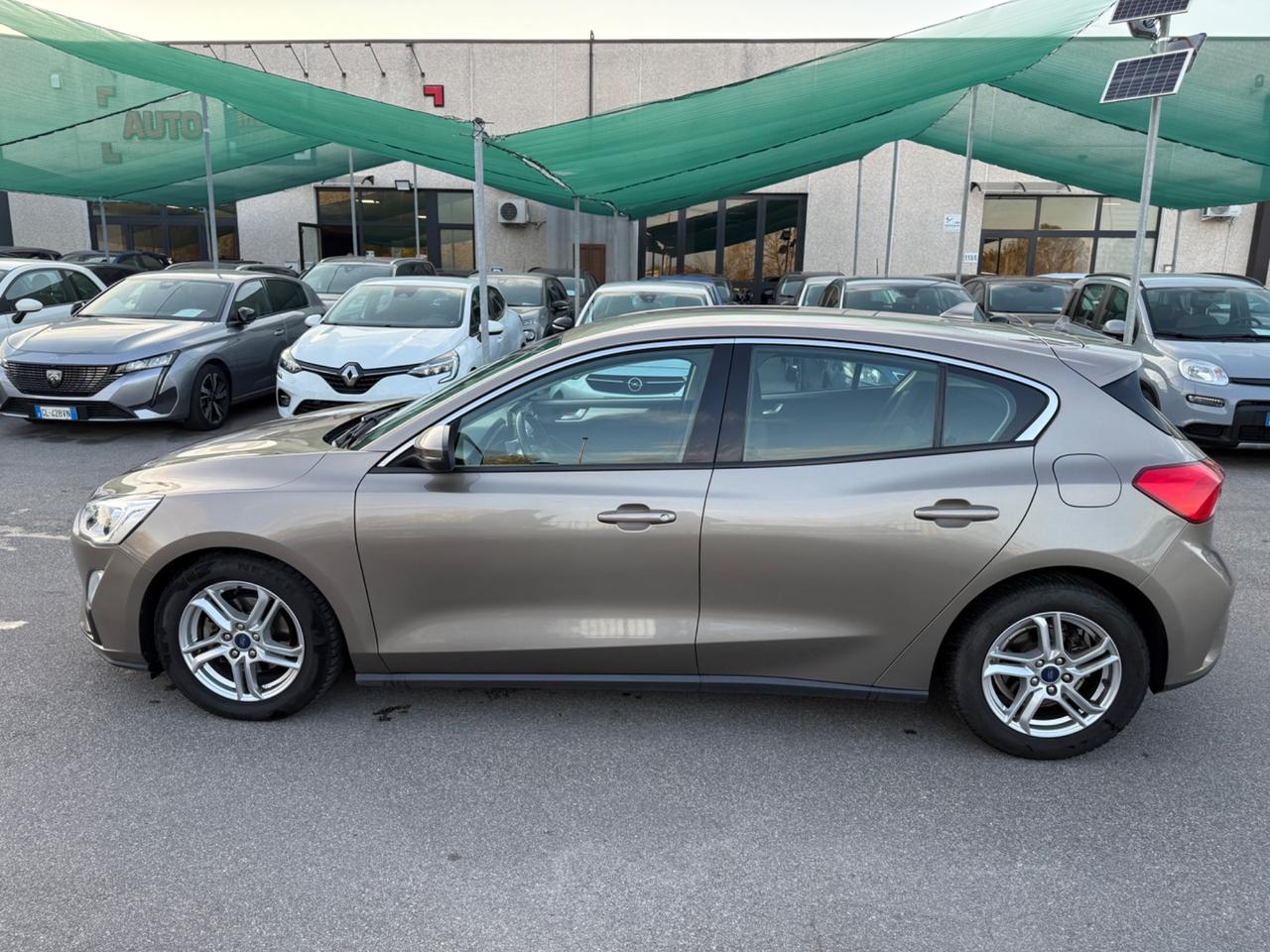 Ford Focus 1.5 EcoBlue 120 CV automatico 5p. Business Co-Pilot