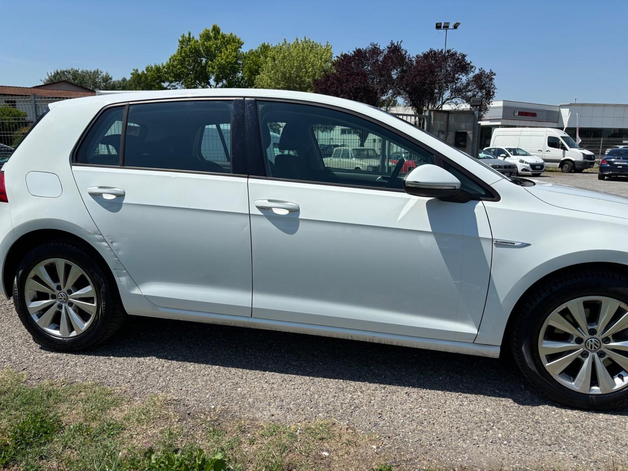 Volkswagen Golf Business 1.4 TGI 5p. Comfortline BlueMotion Solo per export