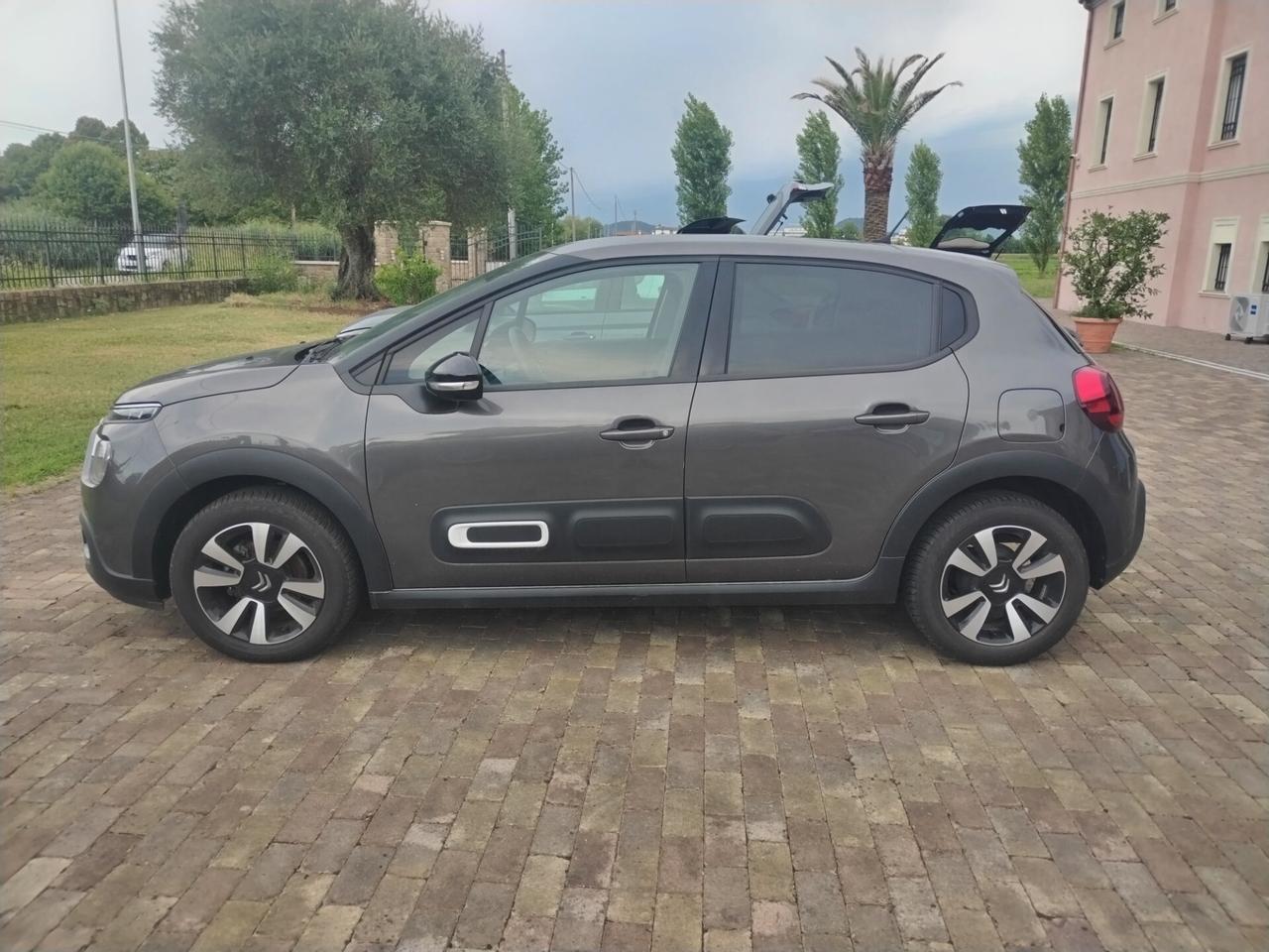 Citroen C3 Max 2024